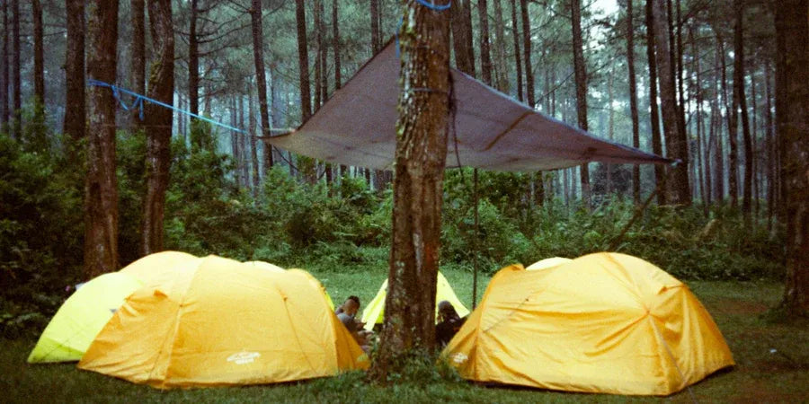 Outdoor camping tents set up in forest for hiking and adventure trips